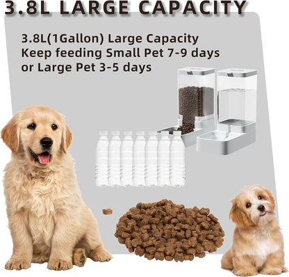 Easy Pet Feeder & Waterer Combo